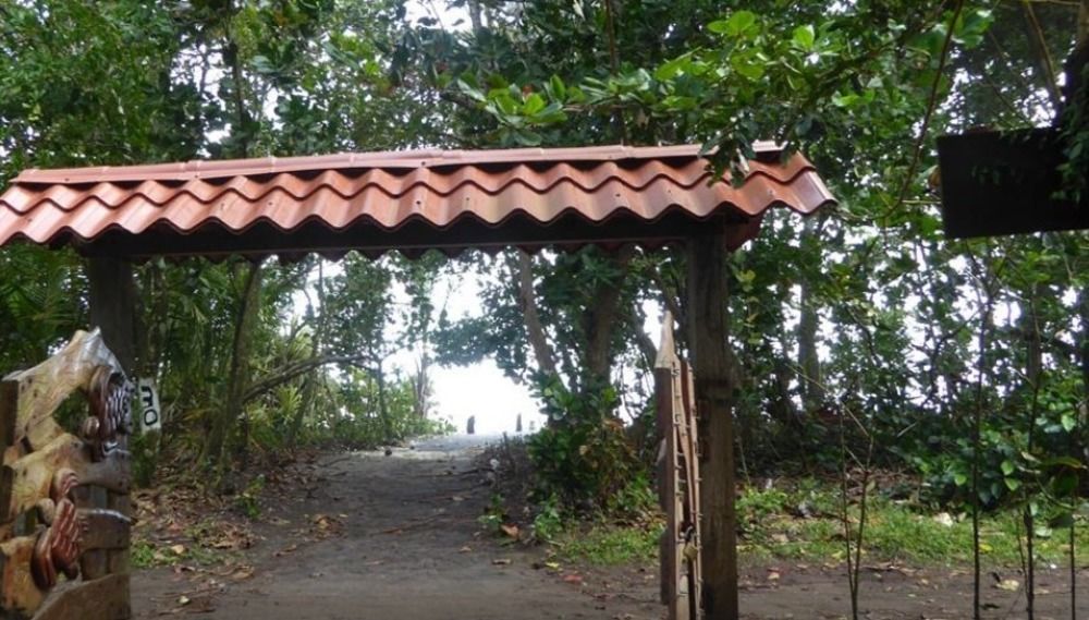 Miss Junies Lodge ตอร์ตูเกโร ภายนอก รูปภาพ