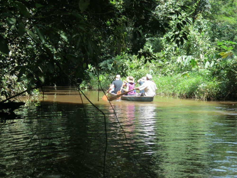 Miss Junies Lodge ตอร์ตูเกโร ภายนอก รูปภาพ