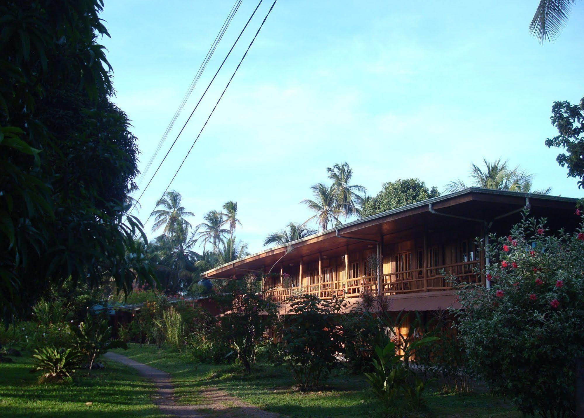 Miss Junies Lodge ตอร์ตูเกโร ภายนอก รูปภาพ